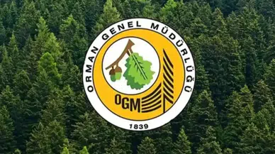 Orman Genel Müdürlüğü 496 Sözleşmeli Personel Alımı Yapıyor!