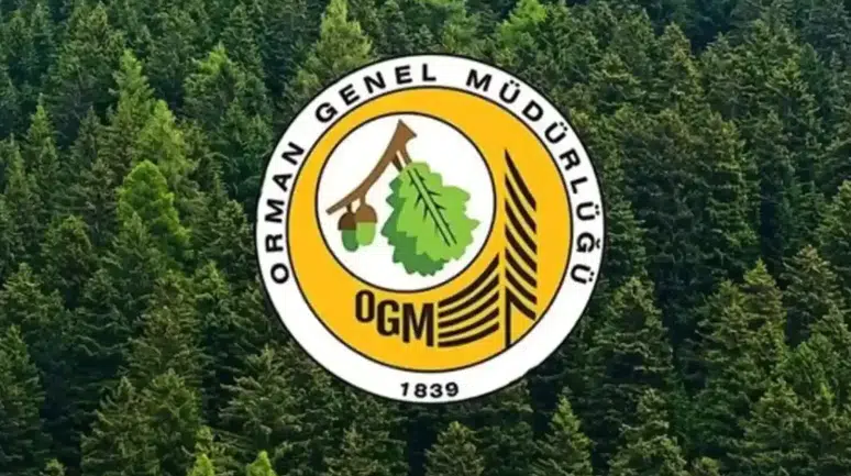 Orman Genel Müdürlüğü 496 Sözleşmeli Personel Alımı Yapıyor!