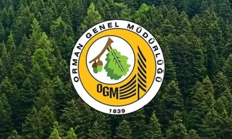 Orman Genel Müdürlüğü 496 Sözleşmeli Personel Alımı Yapıyor!